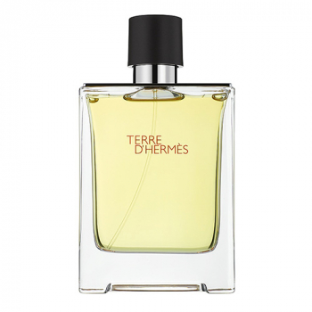 Hermes Terre D'Hermes Туалетна вода 100 ml LUX
